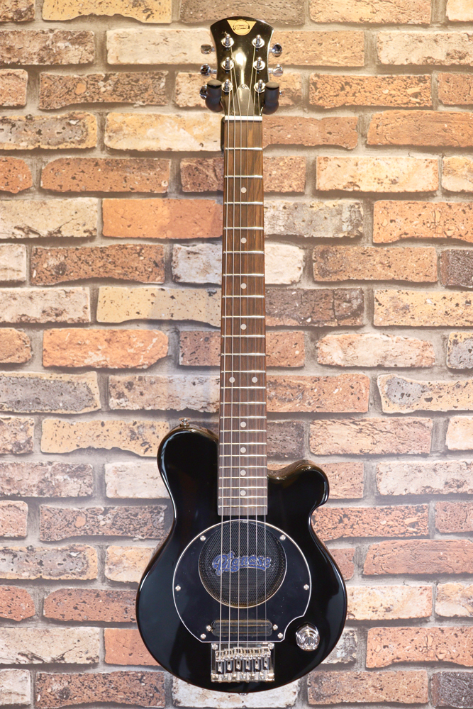 元祖アンプ内蔵ギターはこれ！Pignose Ampもさることながら、このギターも最高です！