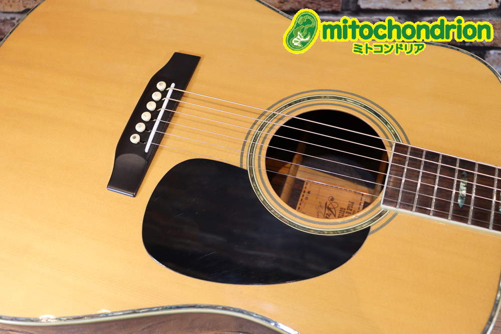 日本製のAriaドレッドサイズのフォークギター！ハードケース付き