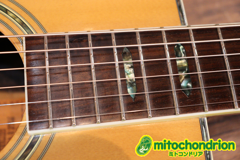 日本製のAriaドレッドサイズのフォークギター！ハードケース付き