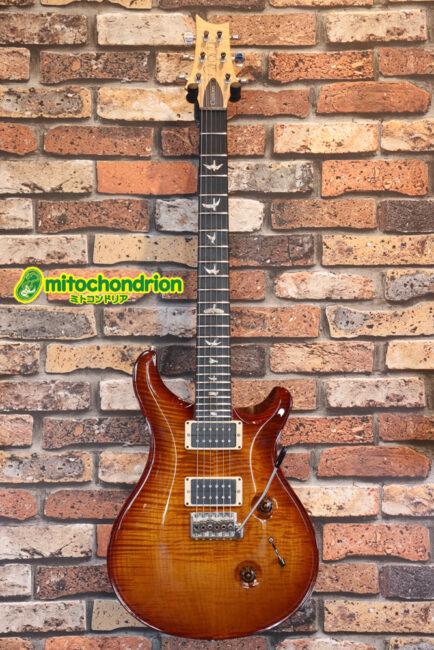 フレイム・メイプルネック、エボニー指版の2013EXP LTDです！