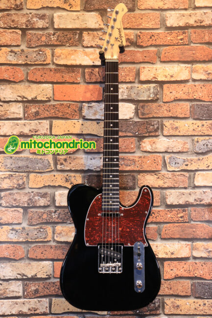 ブラックボディーにべっ甲ピックガー仕様のテレキャスタータイプ！