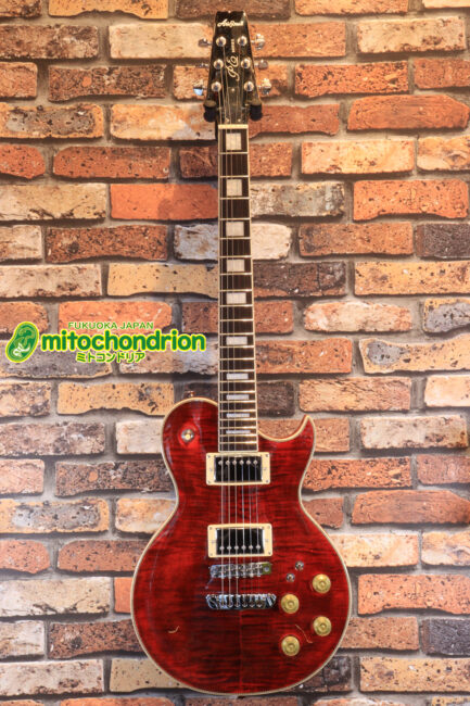 初心者にもお勧め！ピックアップが、シングルコイルにも切り替えできるレスポールタイプです！