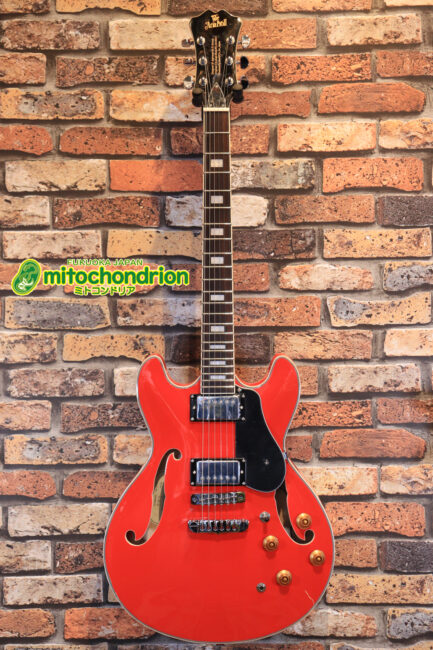 通常よりも小ぶりなセミアコ！アリアプロ2のTAシリーズです！