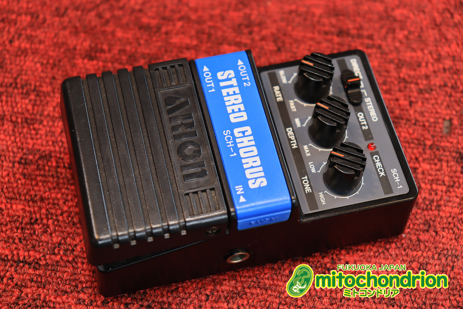 根強い人気のアリオン・コーラス！！