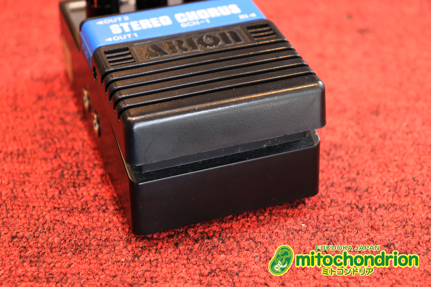 根強い人気のアリオン・コーラス！！