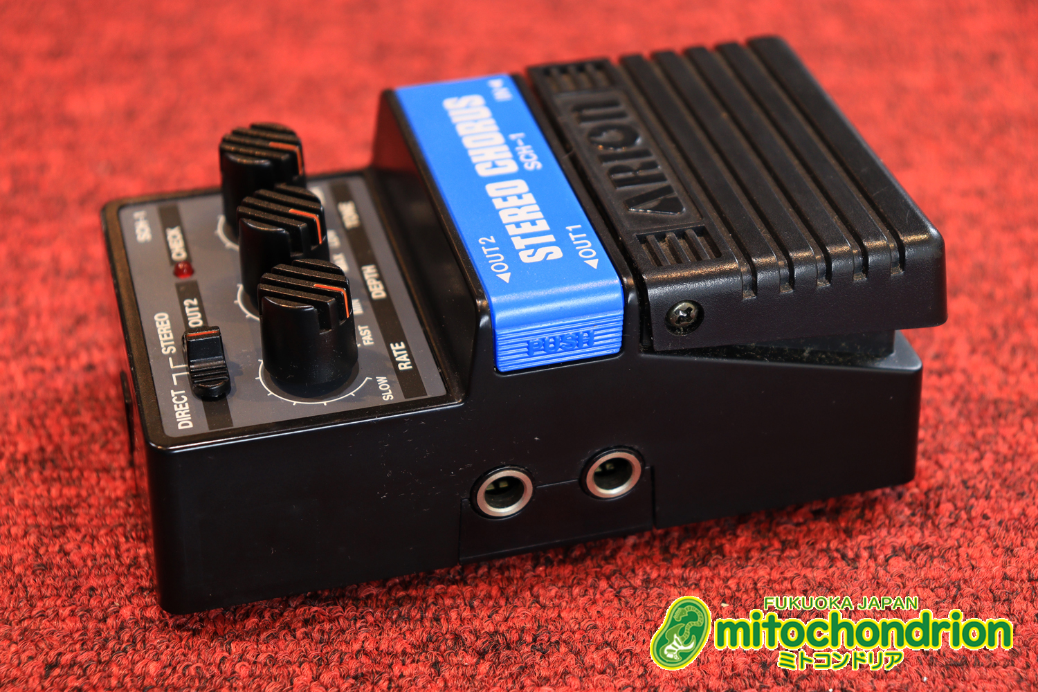 根強い人気のアリオン・コーラス！！