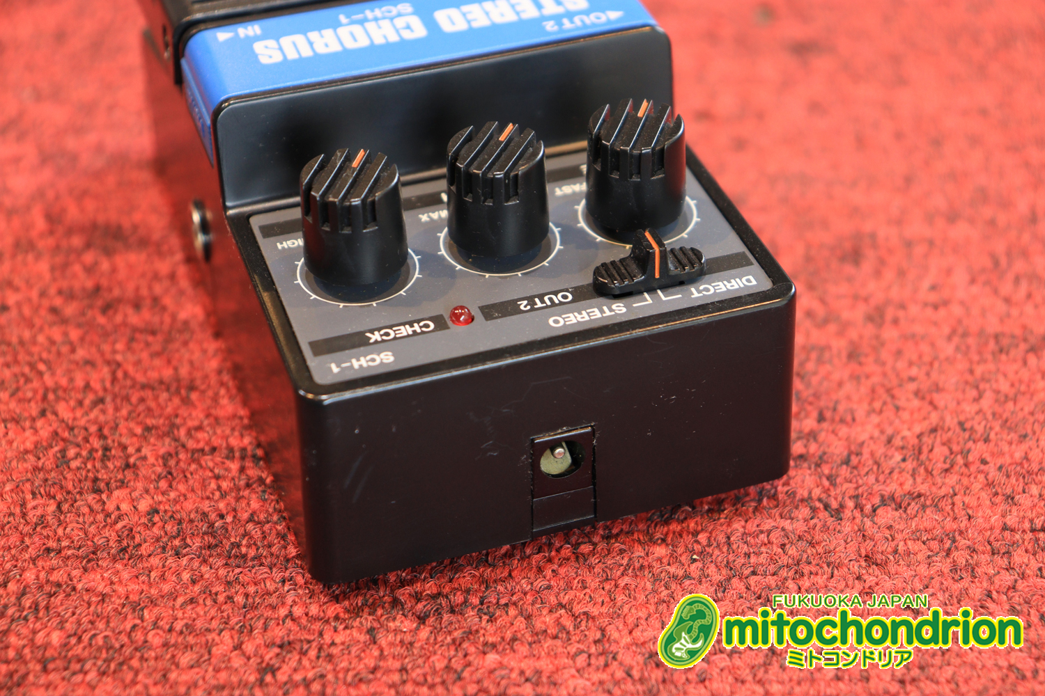 根強い人気のアリオン・コーラス！！