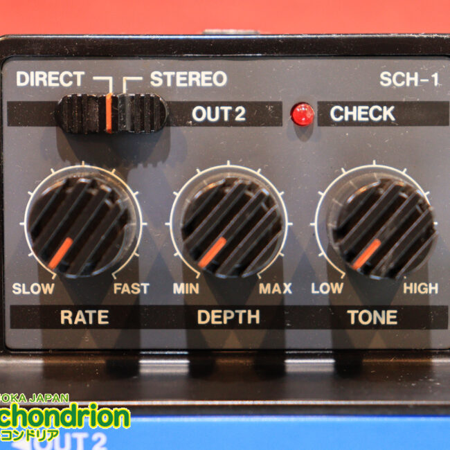 根強い人気のアリオン・コーラス！！