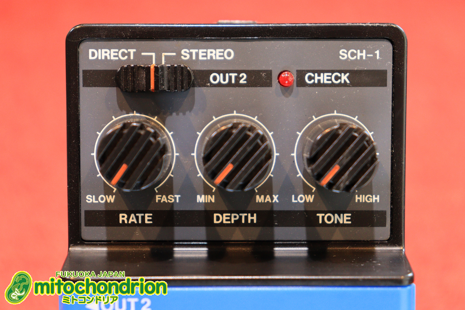 根強い人気のアリオン・コーラス！！