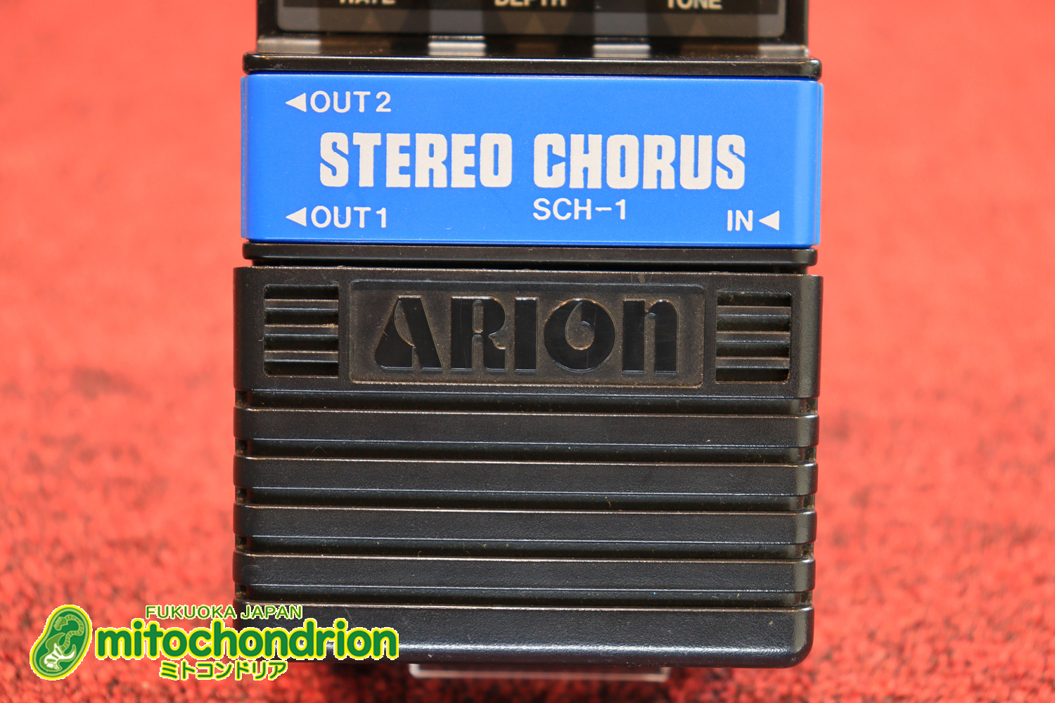 根強い人気のアリオン・コーラス！！