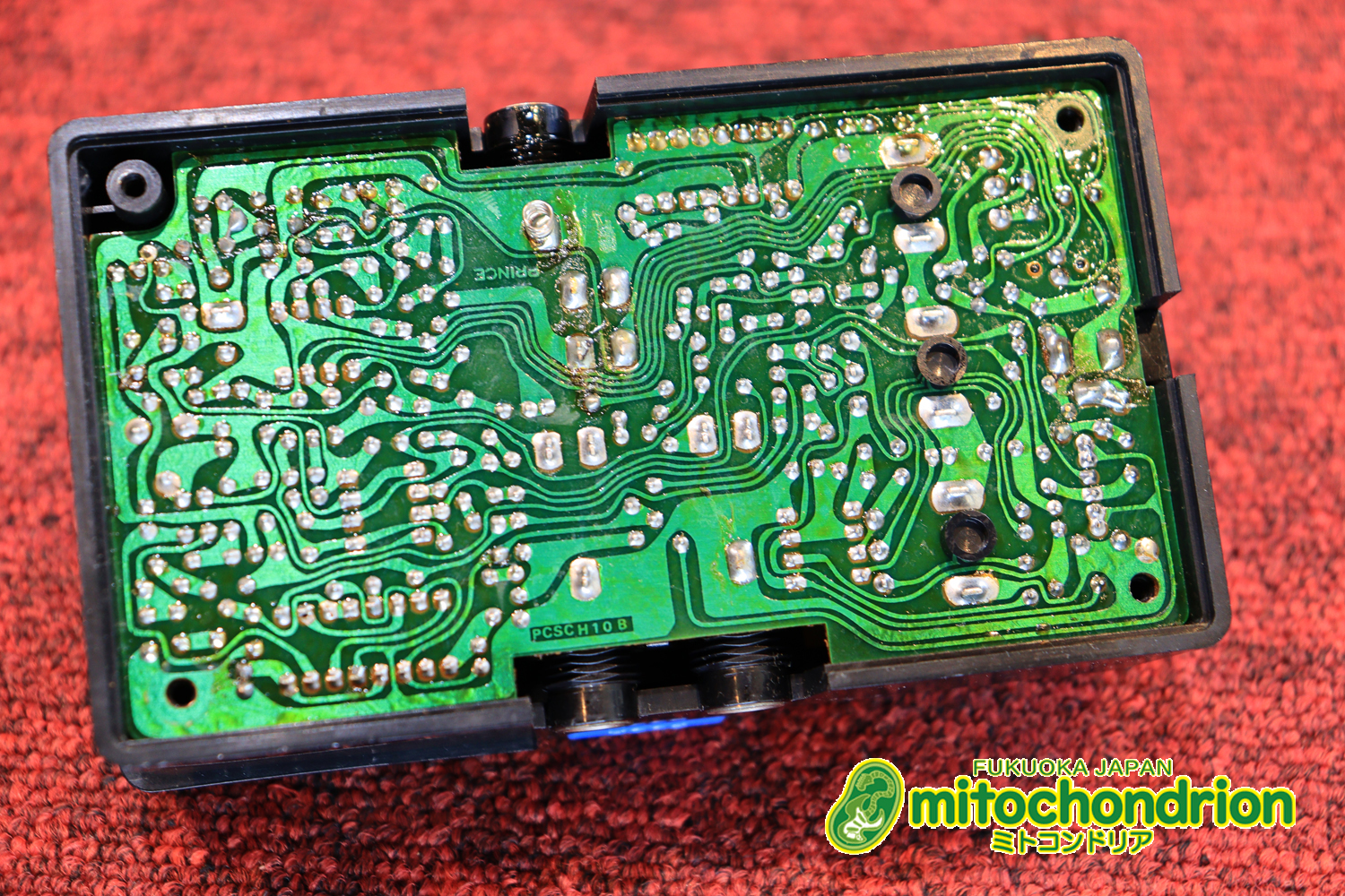 根強い人気のアリオン・コーラス！！