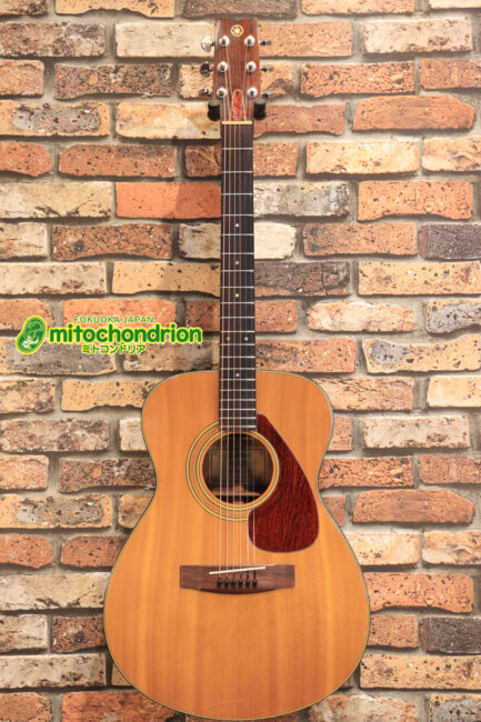 YAMAHAと言えばやはりFG！これから始める方にもお勧めです！