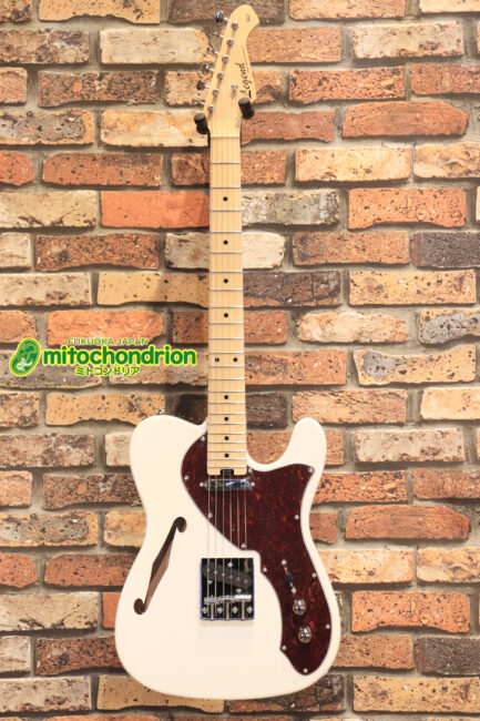 これから始める方にもお勧め！ボディーが半分空洞になっている構造なので軽量なThin Lineモデル！