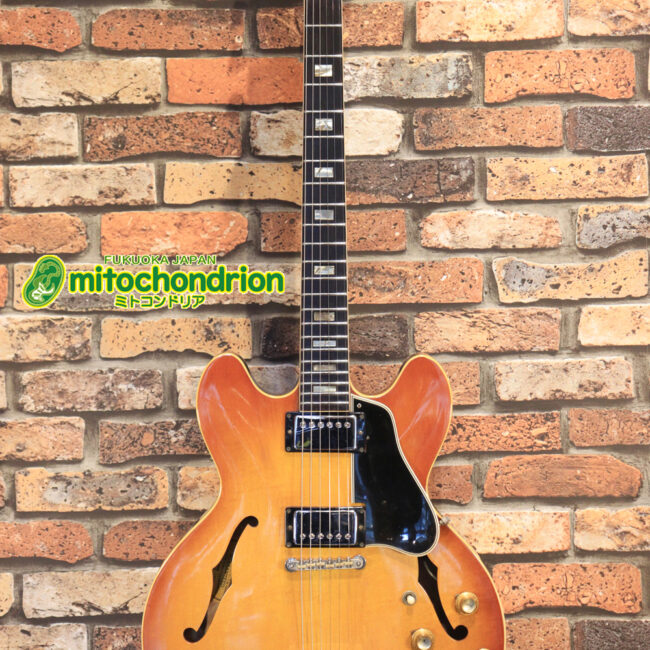 ワイドナットのES-335です！