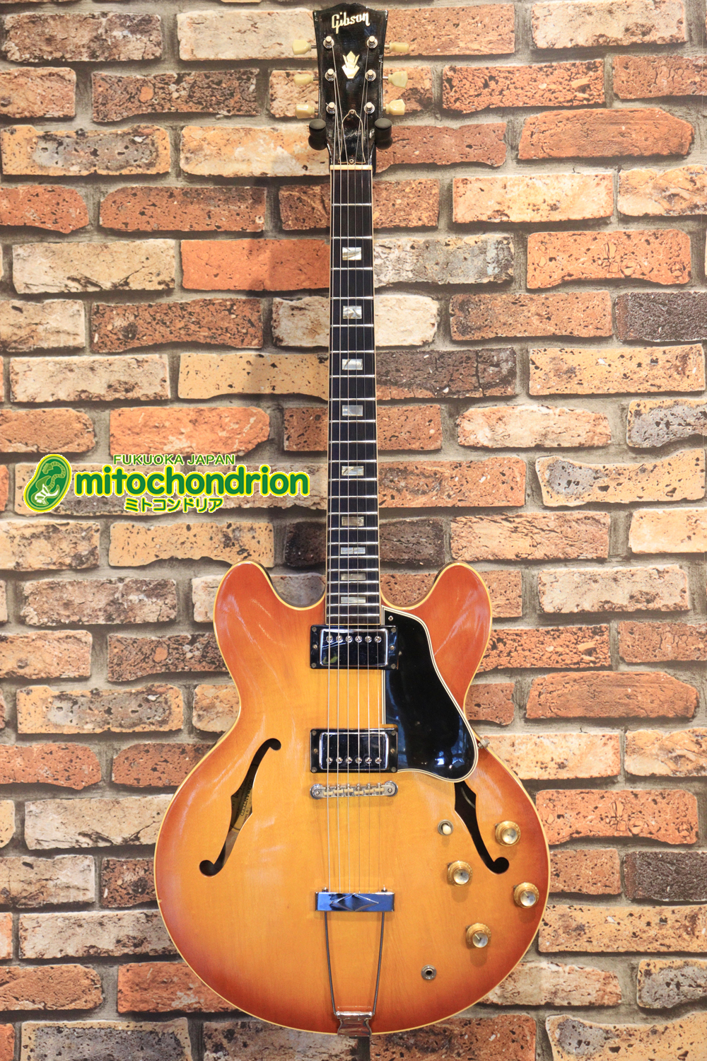 ワイドナットのES-335です！