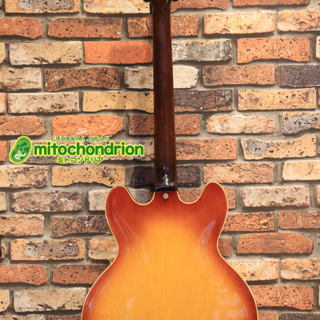 ワイドナットのES-335です！