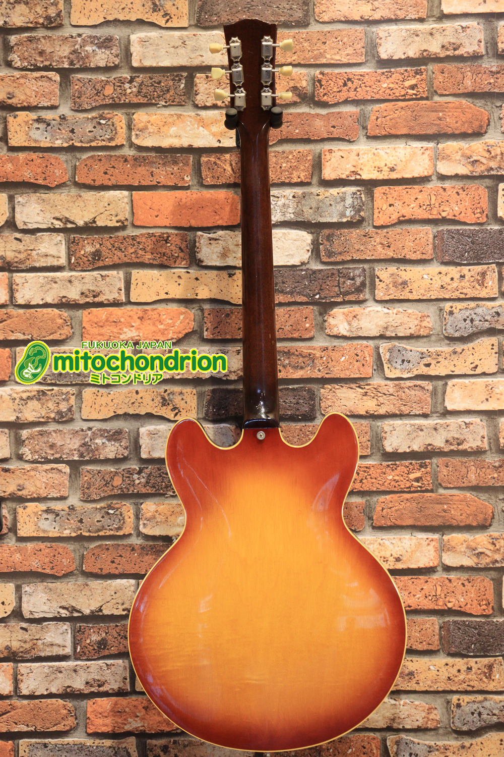 ワイドナットのES-335です！