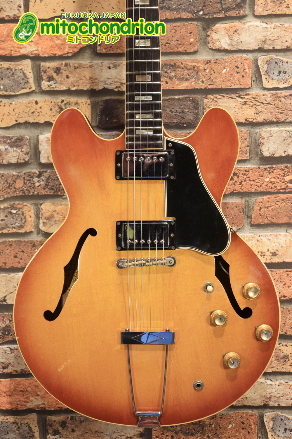 ワイドナットのES-335です！