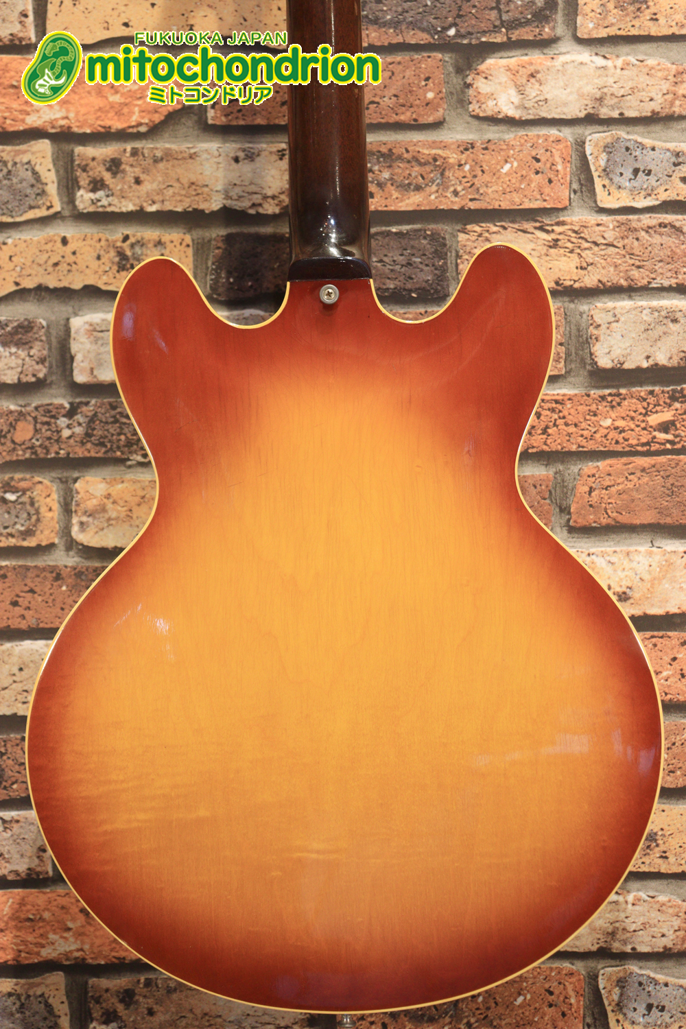 ワイドナットのES-335です！