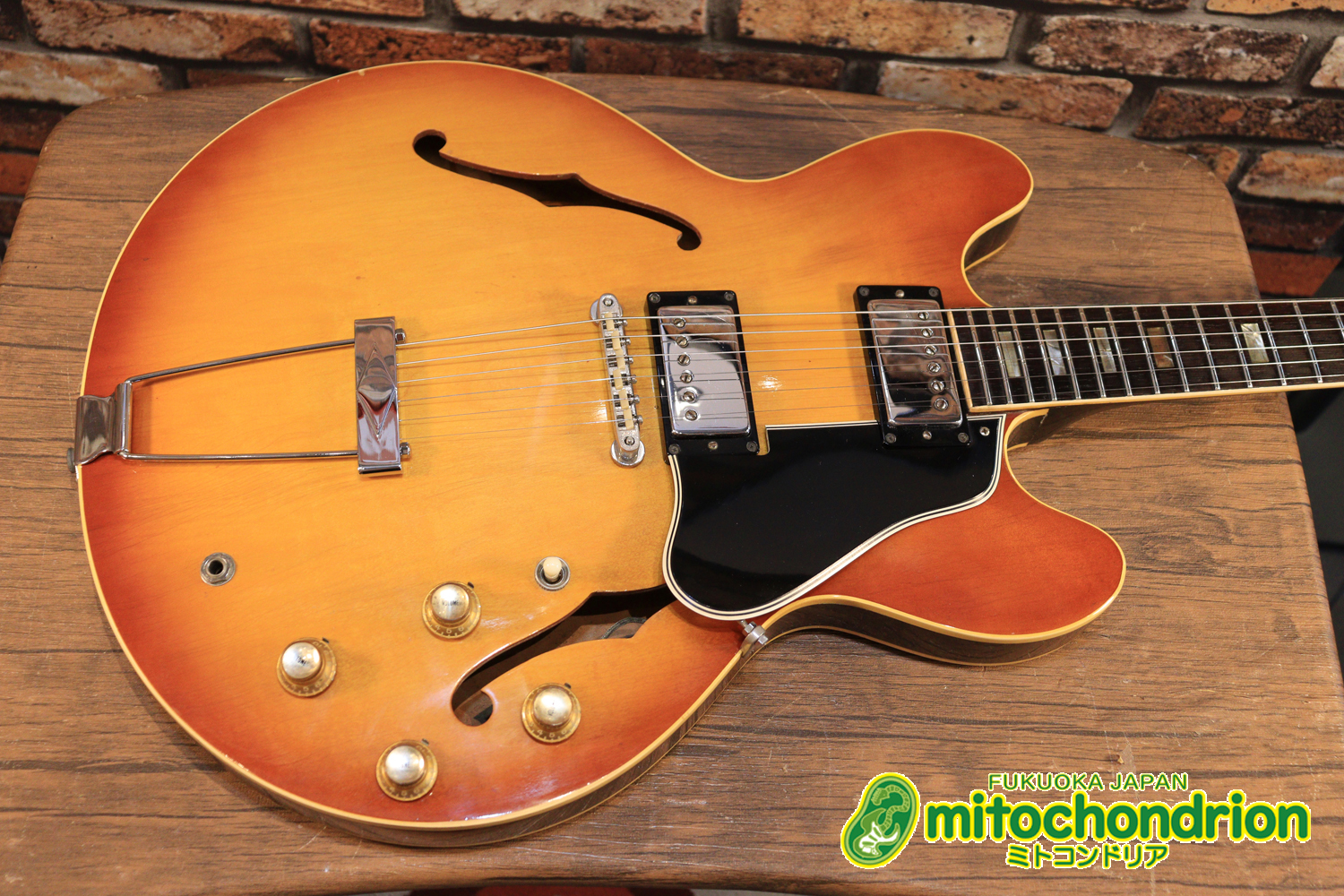 ワイドナットのES-335です！