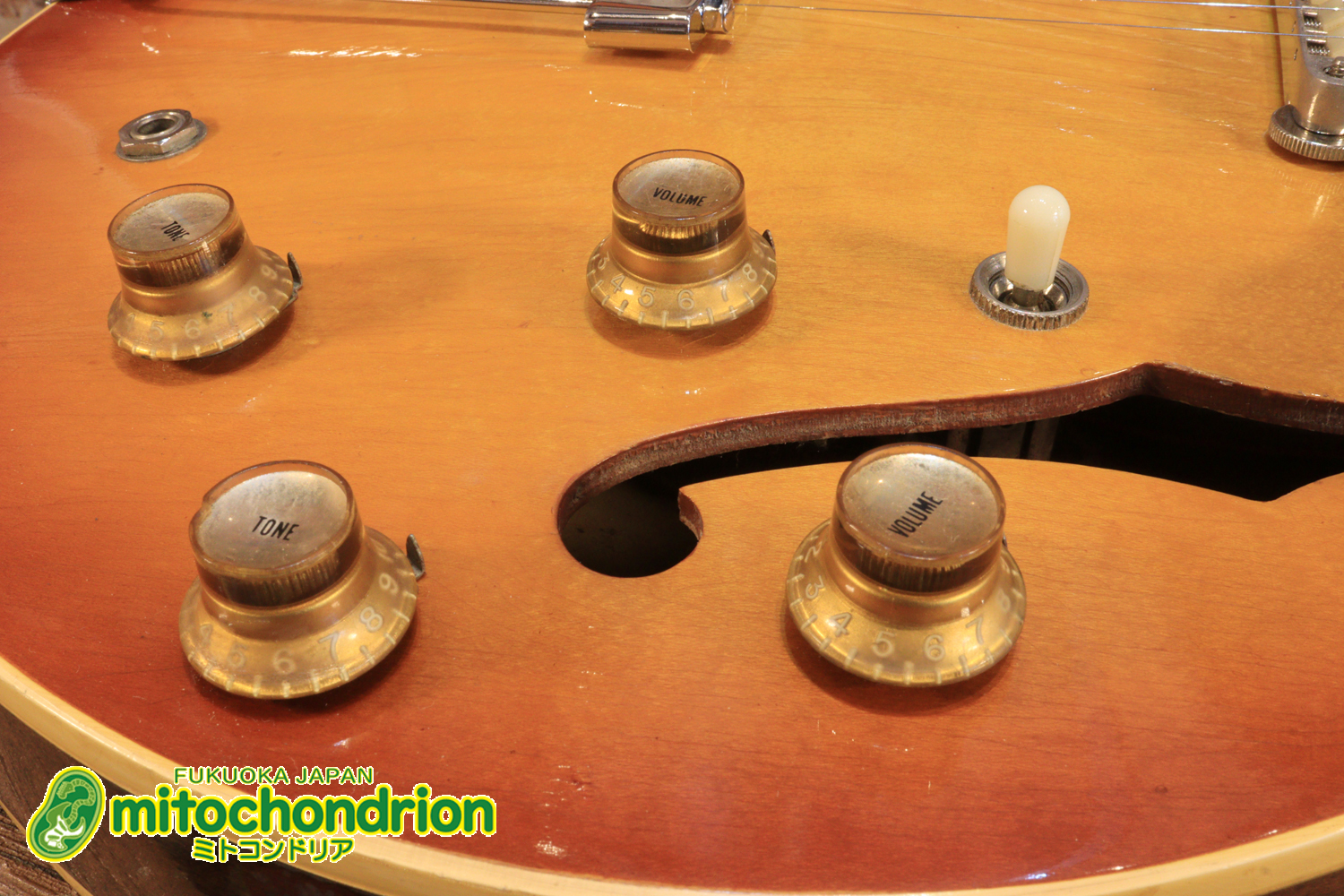 ワイドナットのES-335です！