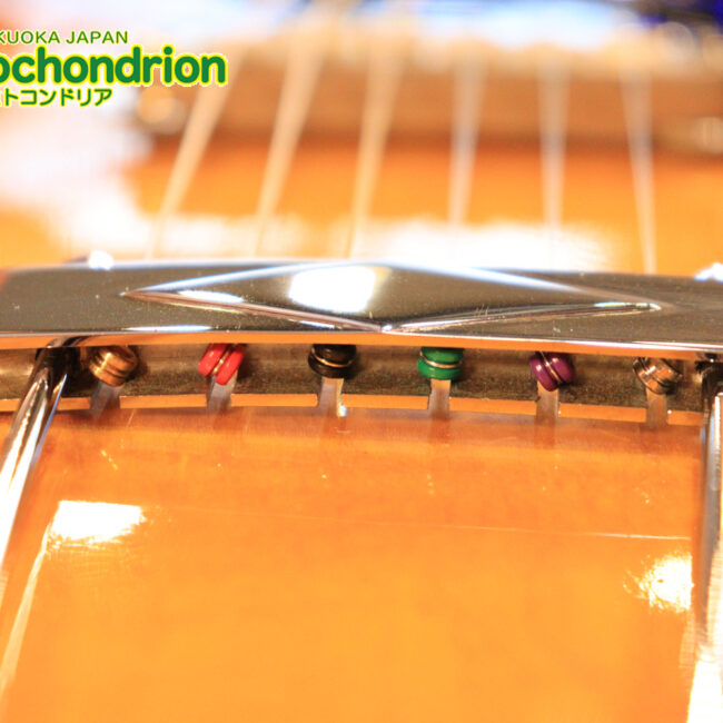 ワイドナットのES-335です！