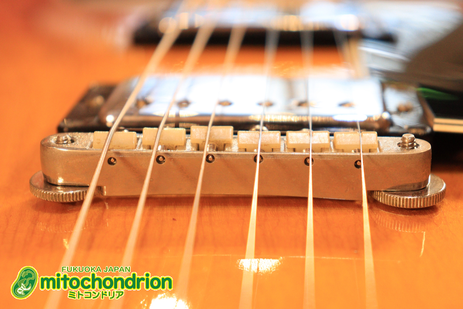 ワイドナットのES-335です！