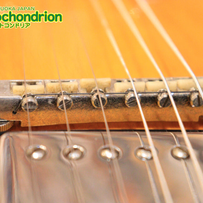 ワイドナットのES-335です！