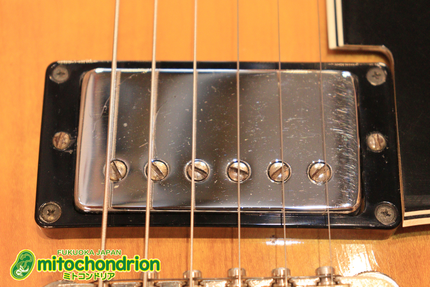 ワイドナットのES-335です！