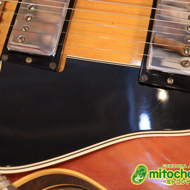 ワイドナットのES-335です！