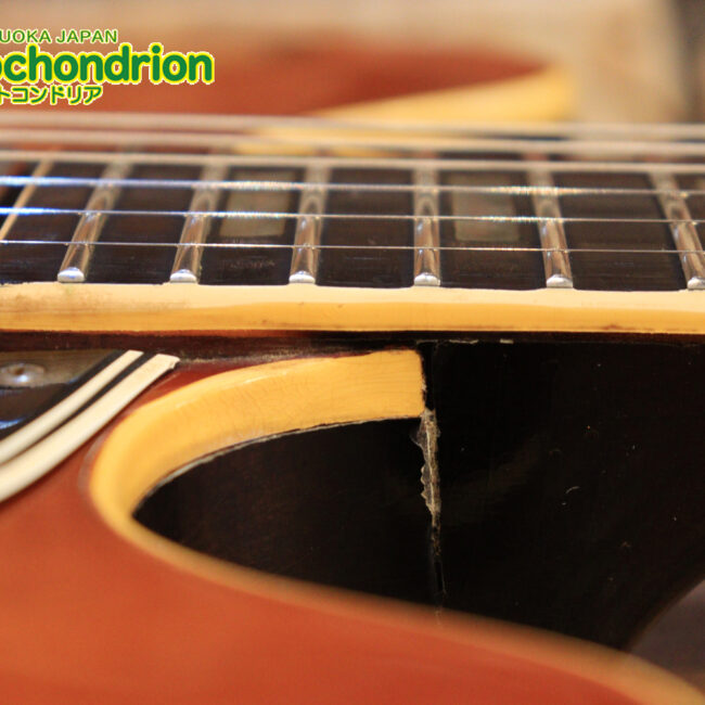 ワイドナットのES-335です！