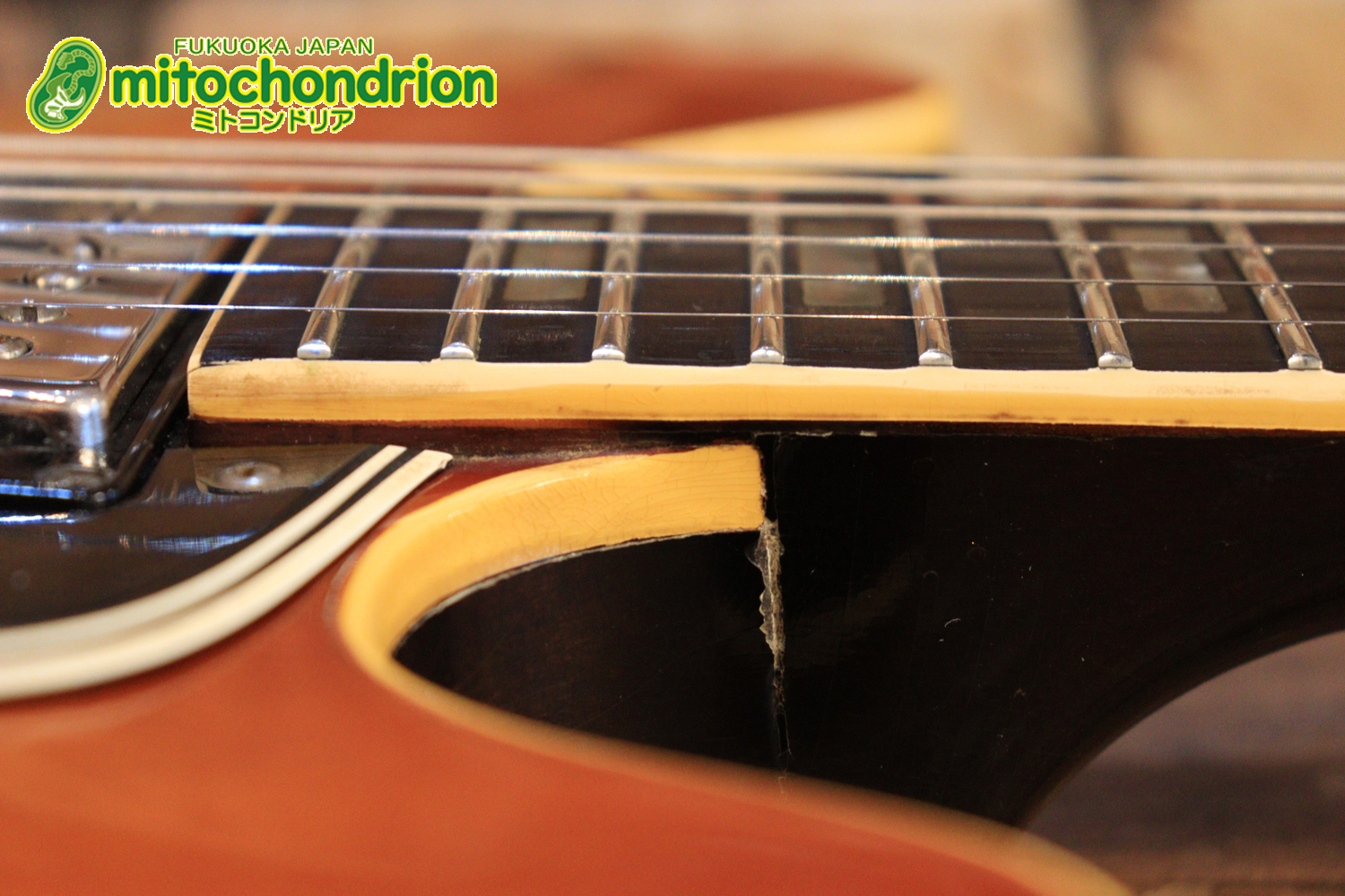 ワイドナットのES-335です！