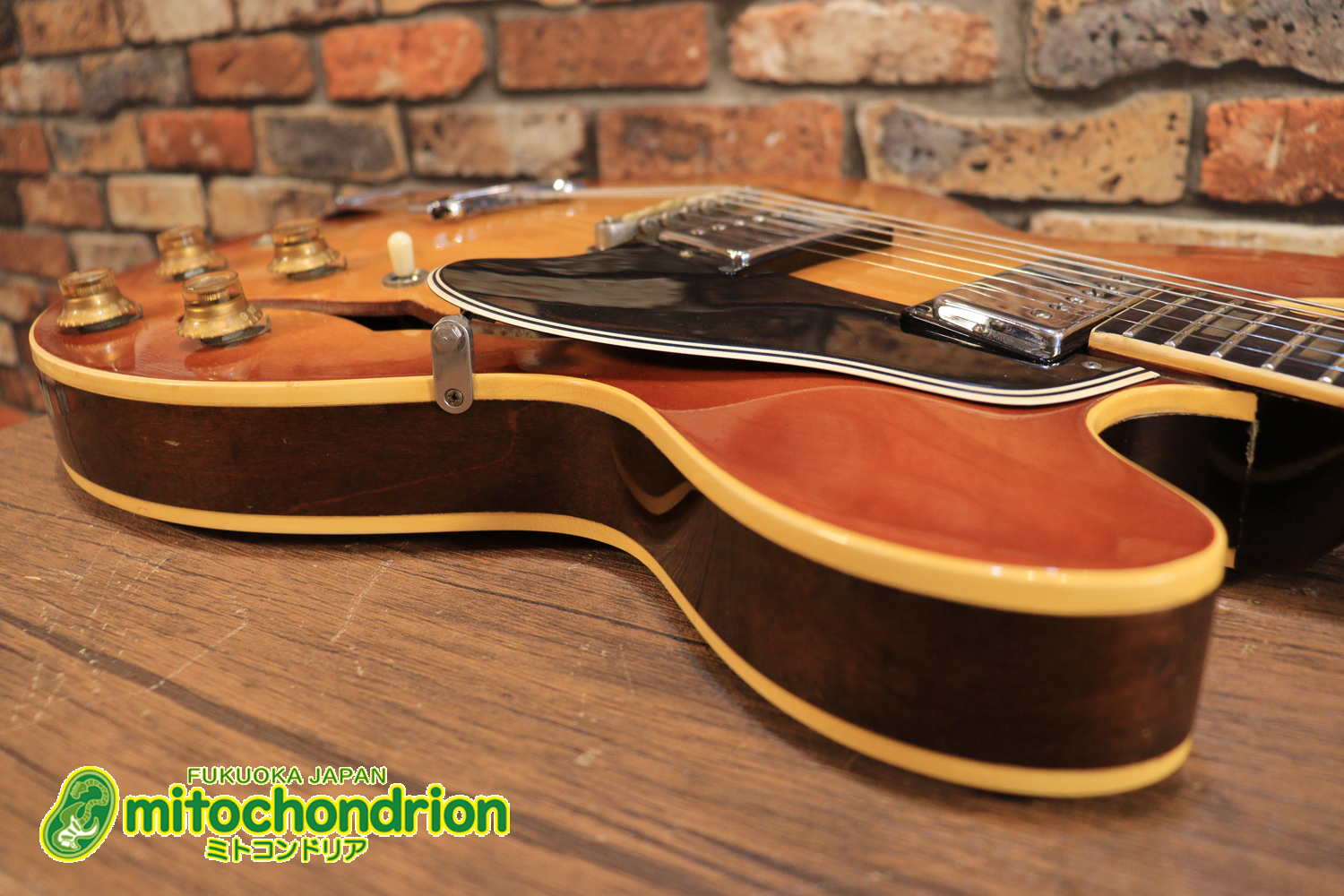 ワイドナットのES-335です！