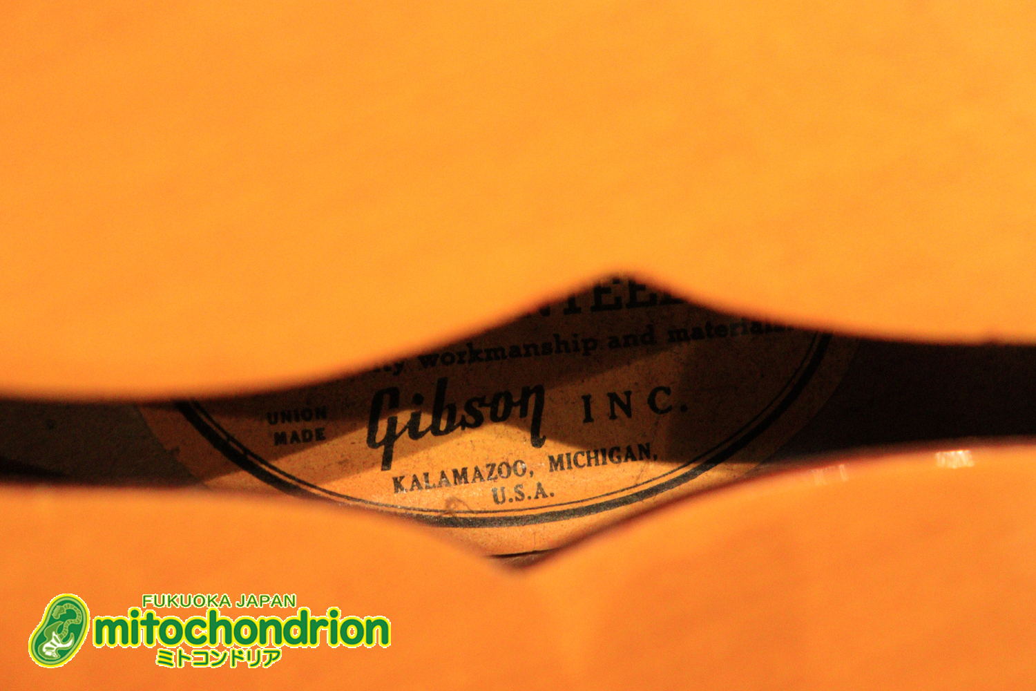 ワイドナットのES-335です！