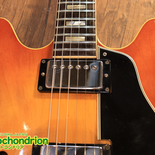 ワイドナットのES-335です！