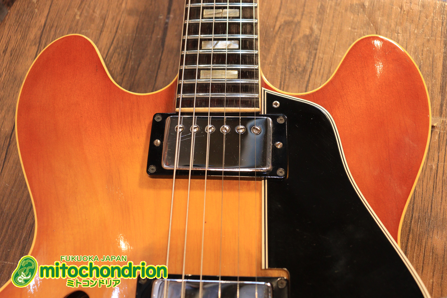 ワイドナットのES-335です！