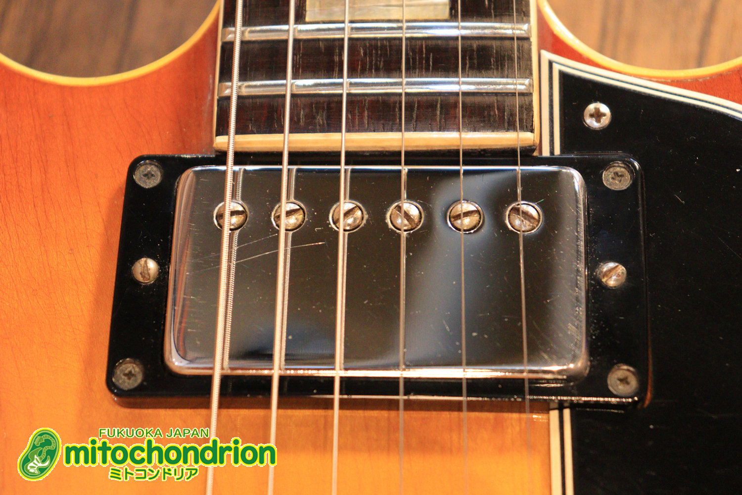 ワイドナットのES-335です！