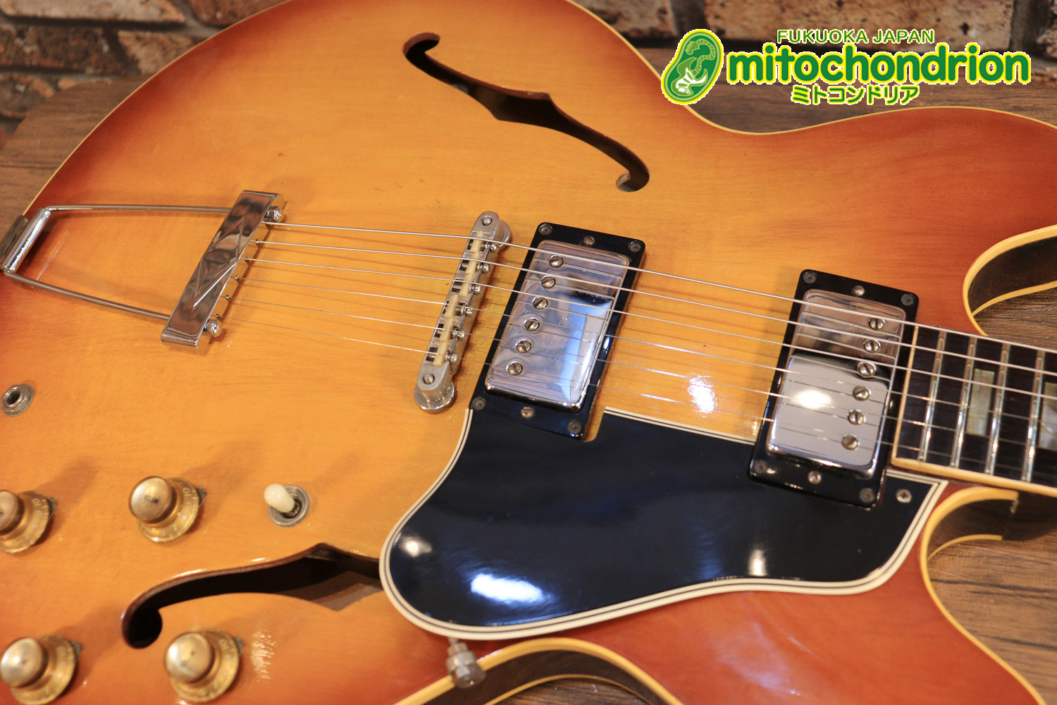 ワイドナットのES-335です！