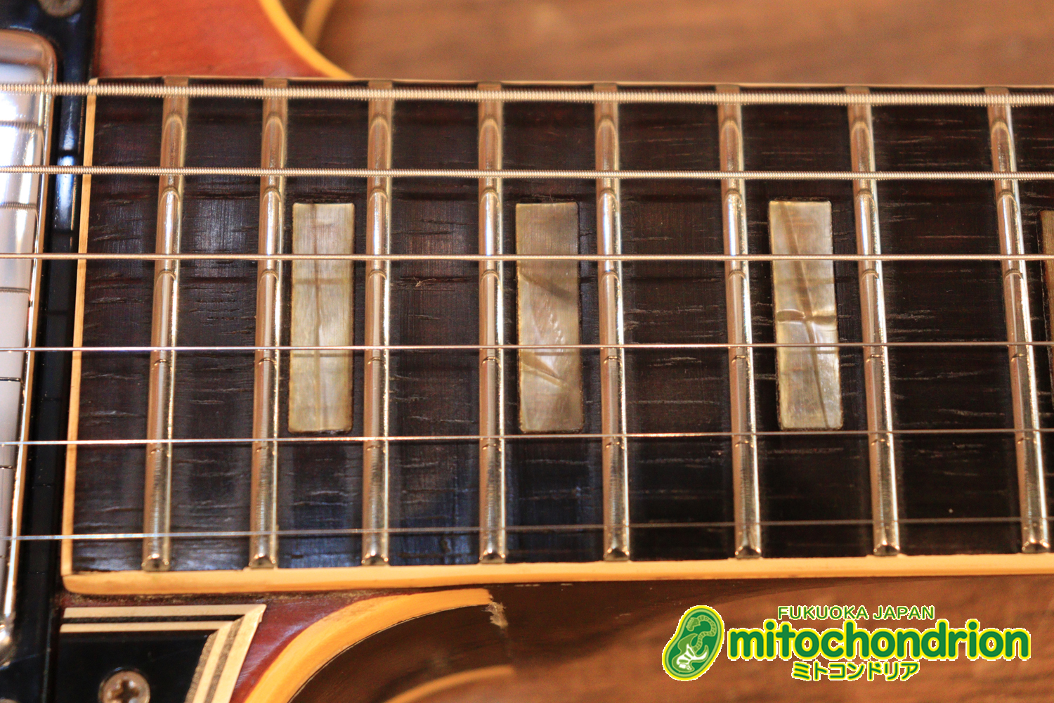 ワイドナットのES-335です！