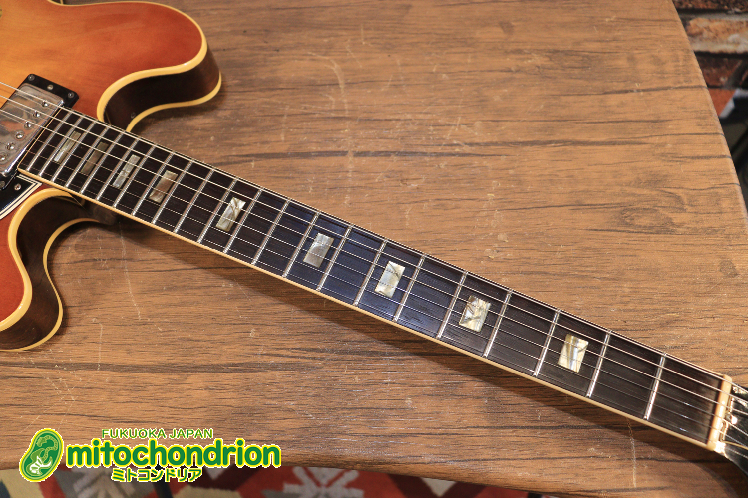 ワイドナットのES-335です！