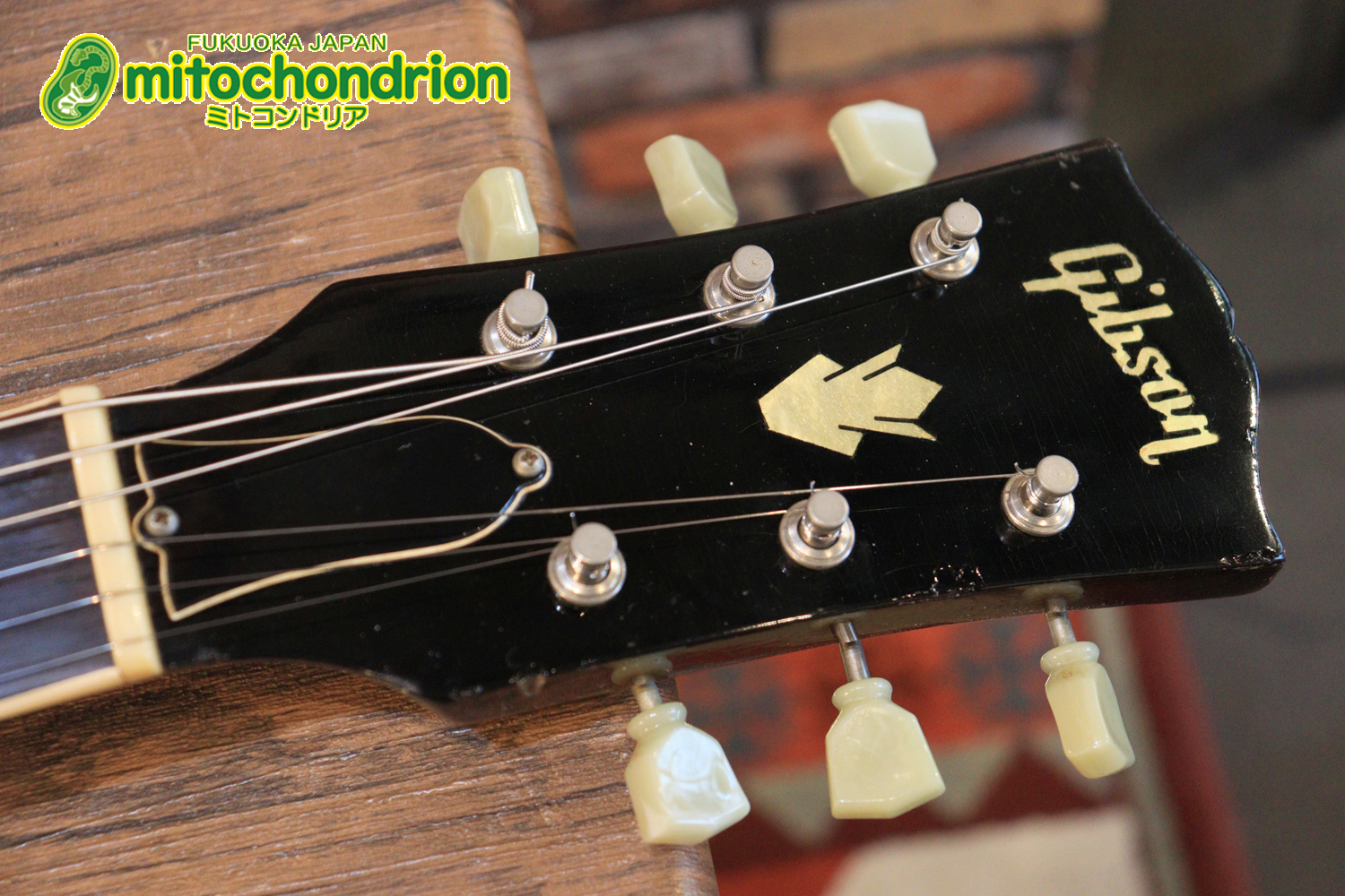 ワイドナットのES-335です！