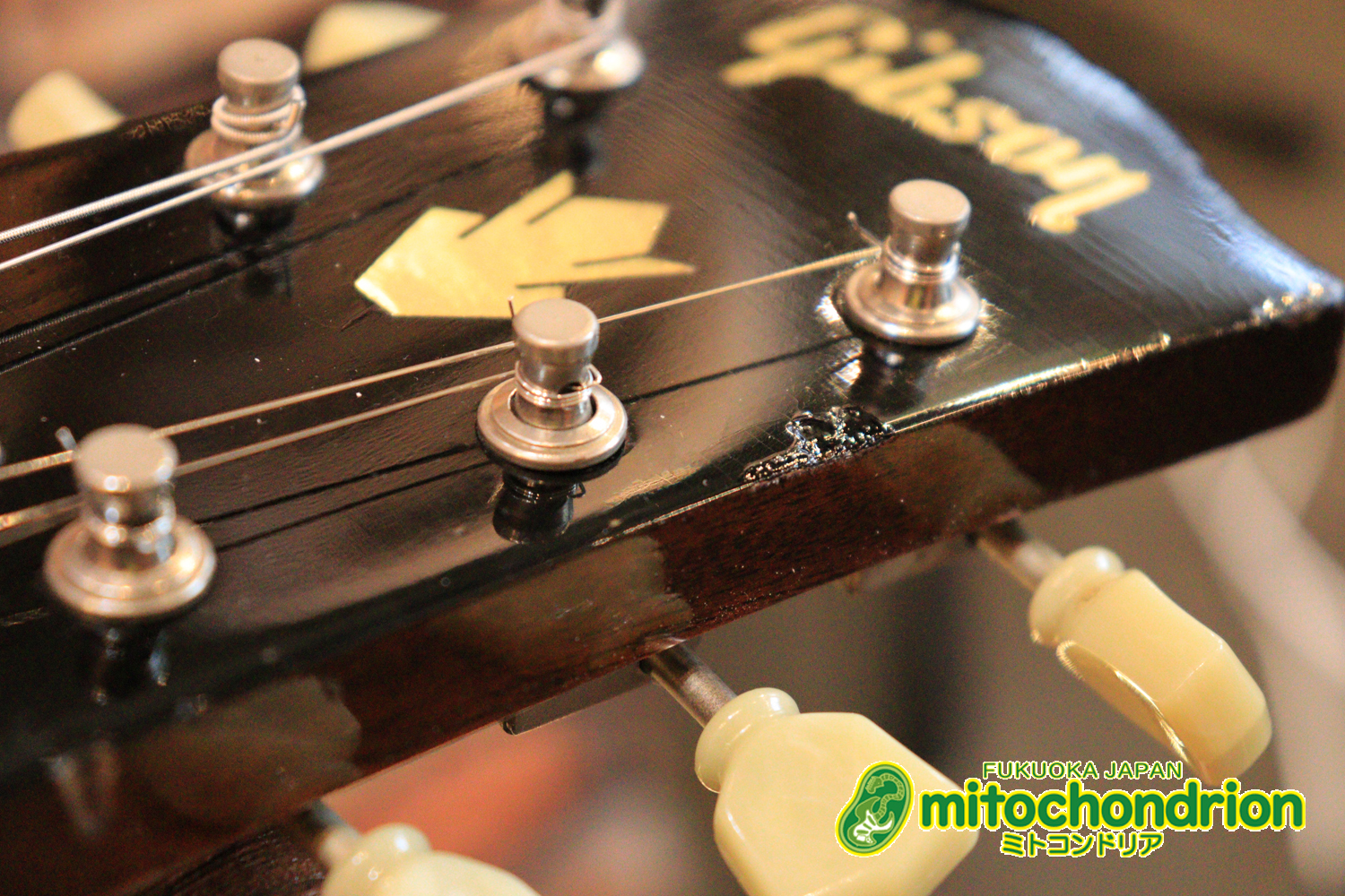 ワイドナットのES-335です！