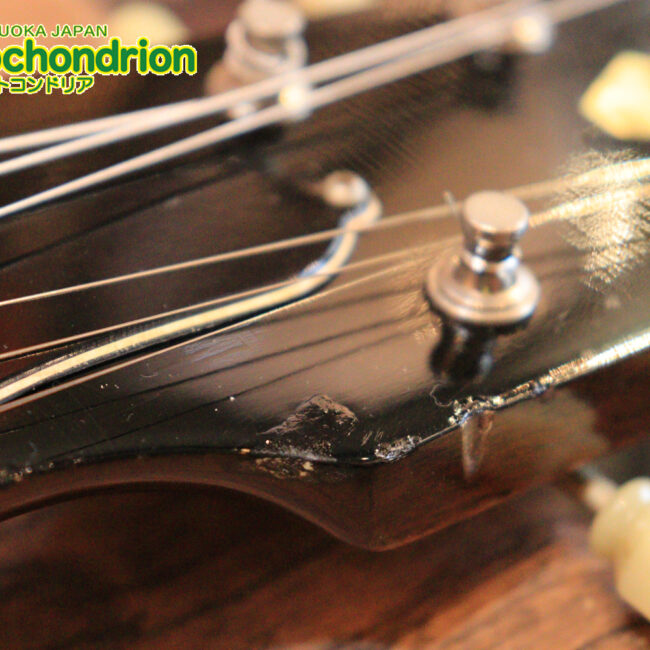 ワイドナットのES-335です！