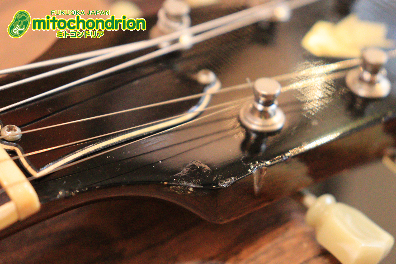 ワイドナットのES-335です！