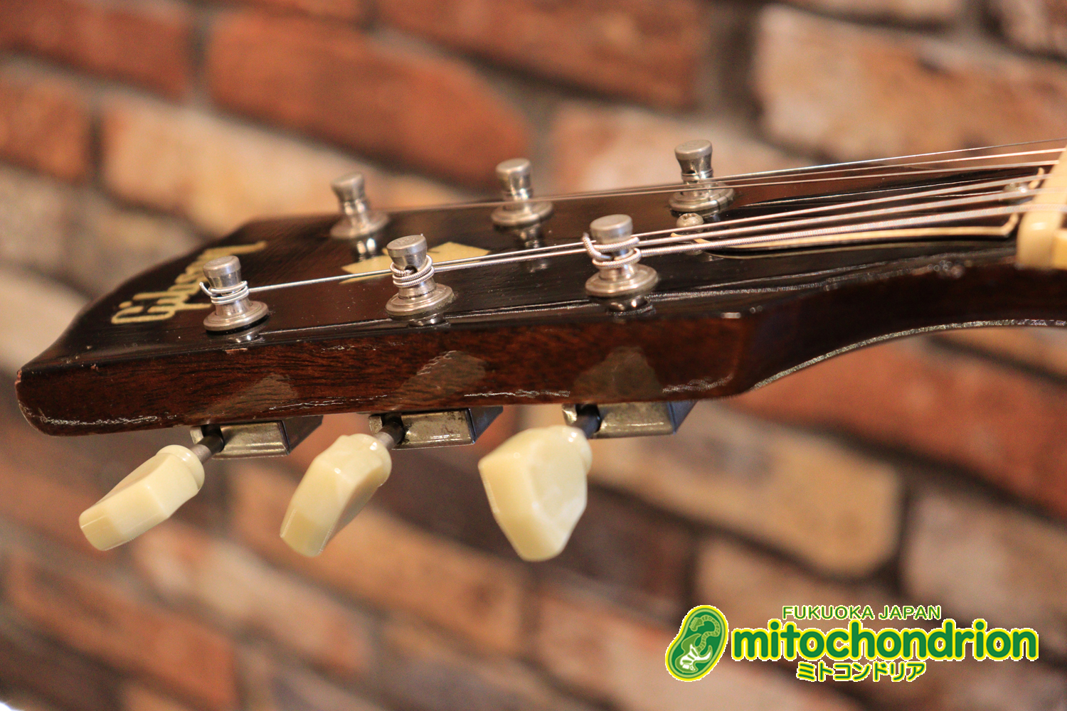 ワイドナットのES-335です！