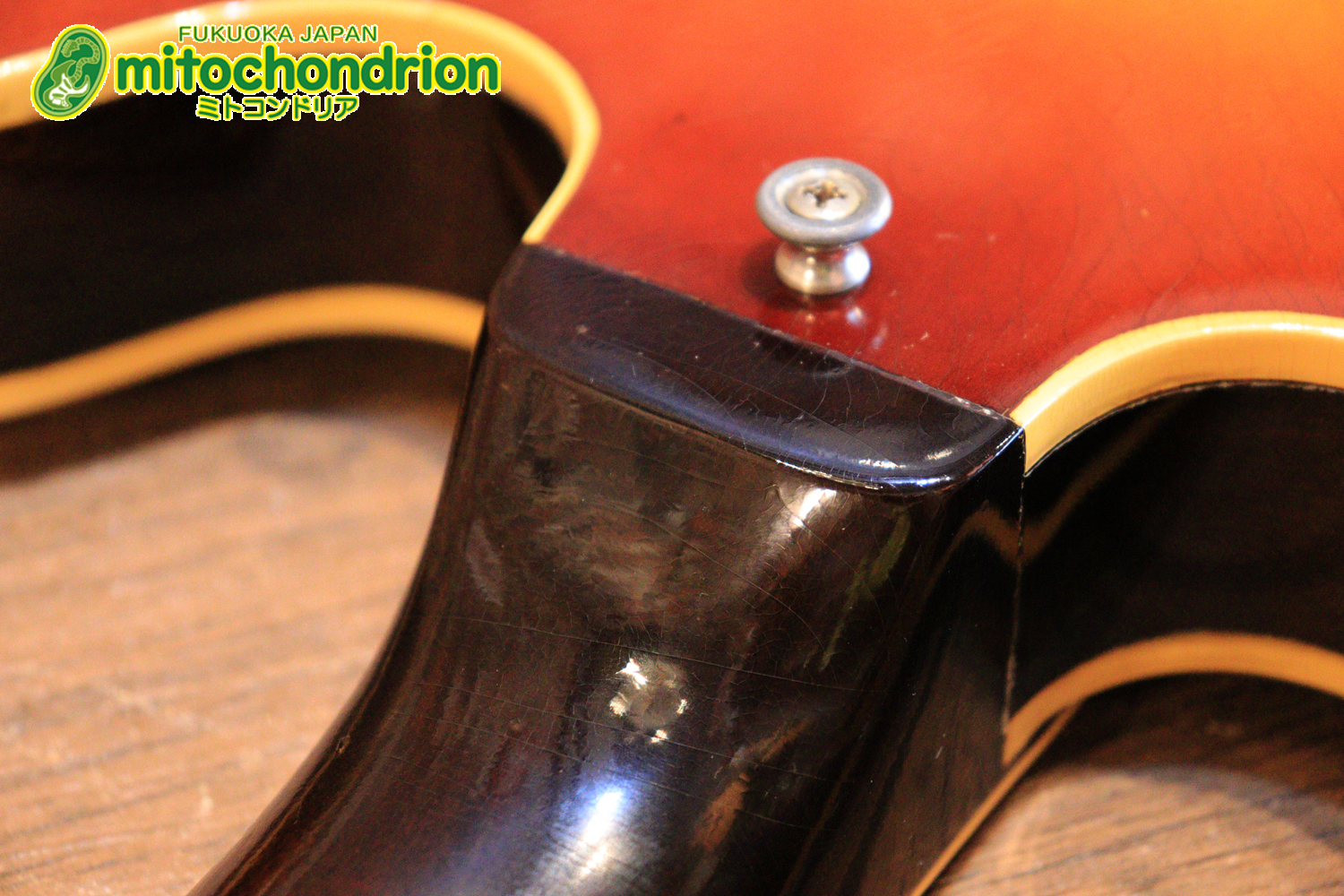 ワイドナットのES-335です！