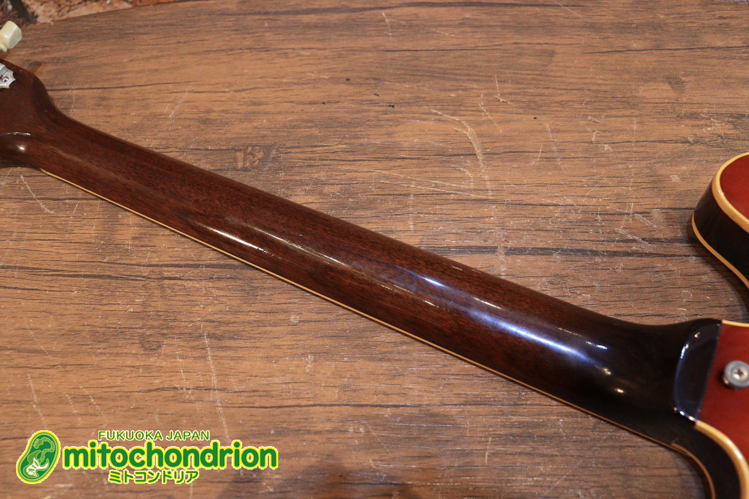 ワイドナットのES-335です！