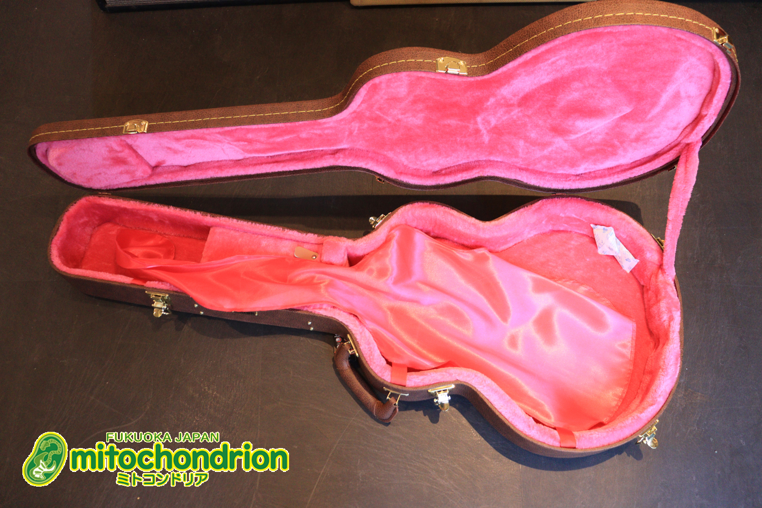 ワイドナットのES-335です！