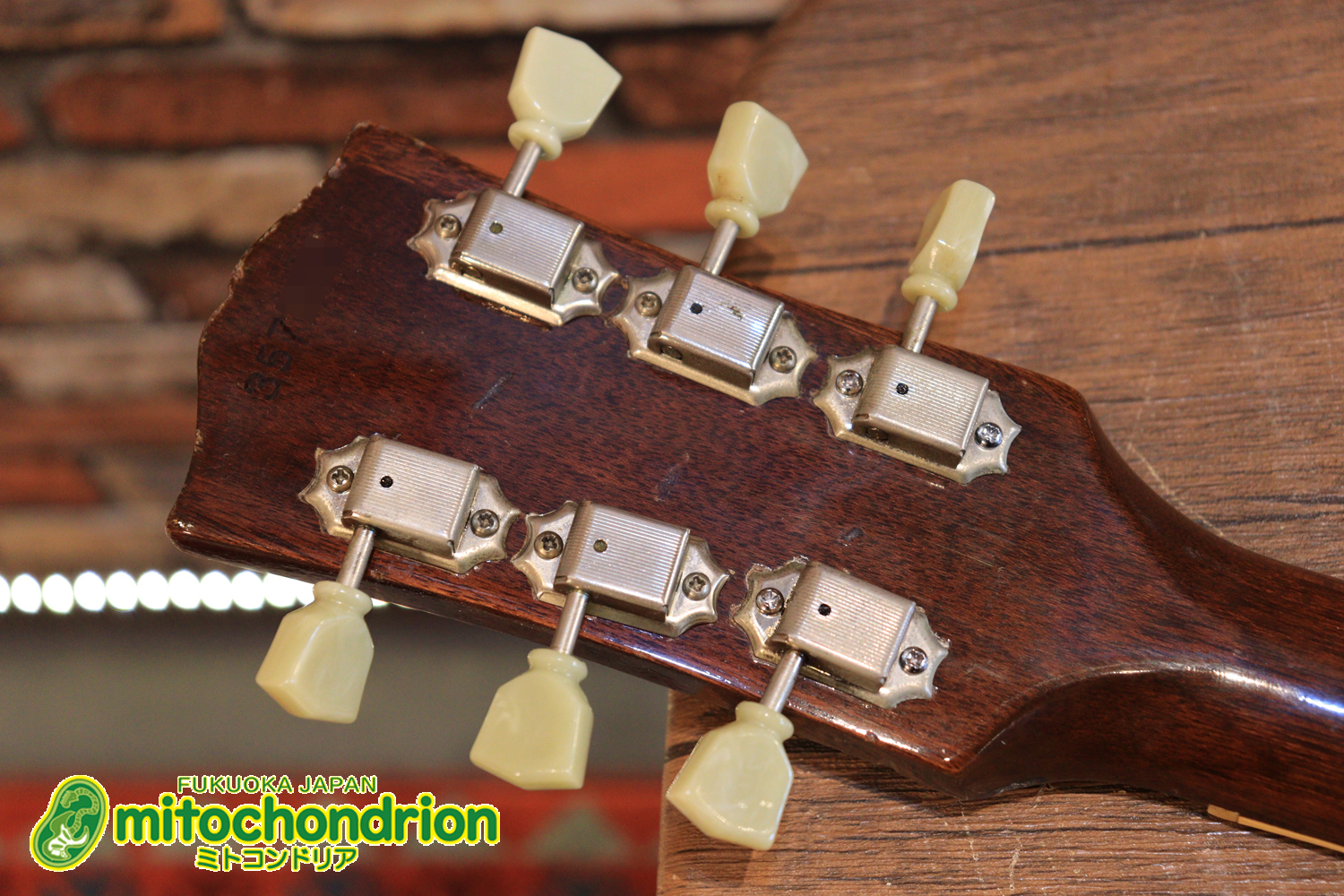 ワイドナットのES-335です！