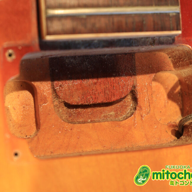 ワイドナットのES-335です！